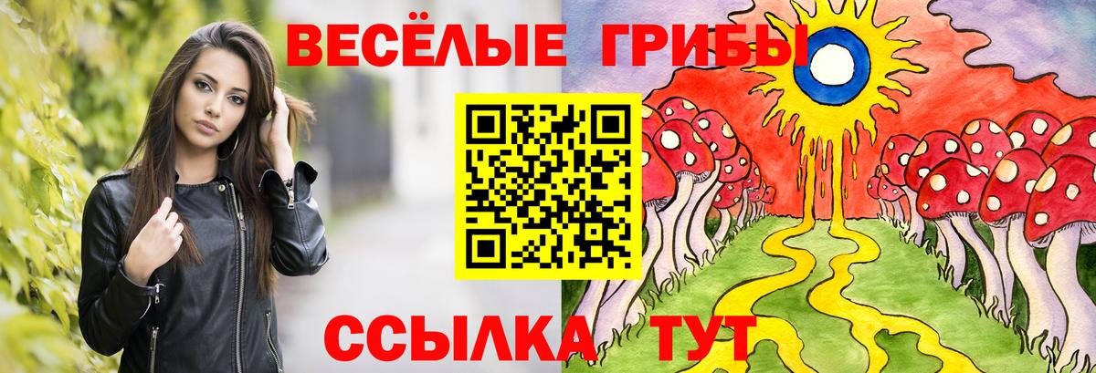Казань  Галлюциногенные грибы прущие грибы  Галлюциногенные грибы мицелий  Вход с VPN 