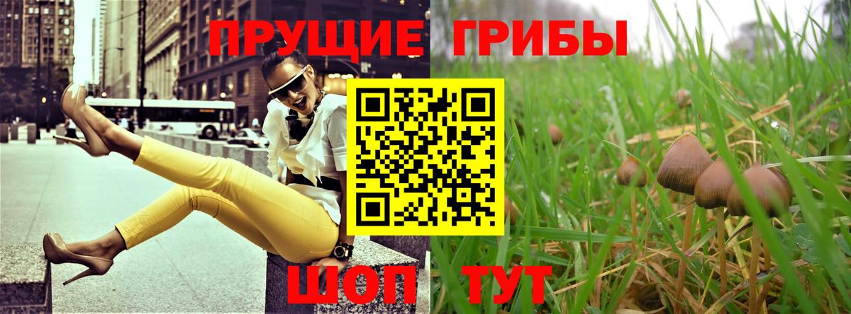 Галлюциногенные грибы GOLDEN TEACHER Казань